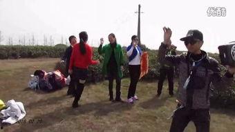 绿草在线观看,踏青赏绿,畅享自然之美 第2张 绿草在线观看,踏青赏绿,畅享自然之美 第2张